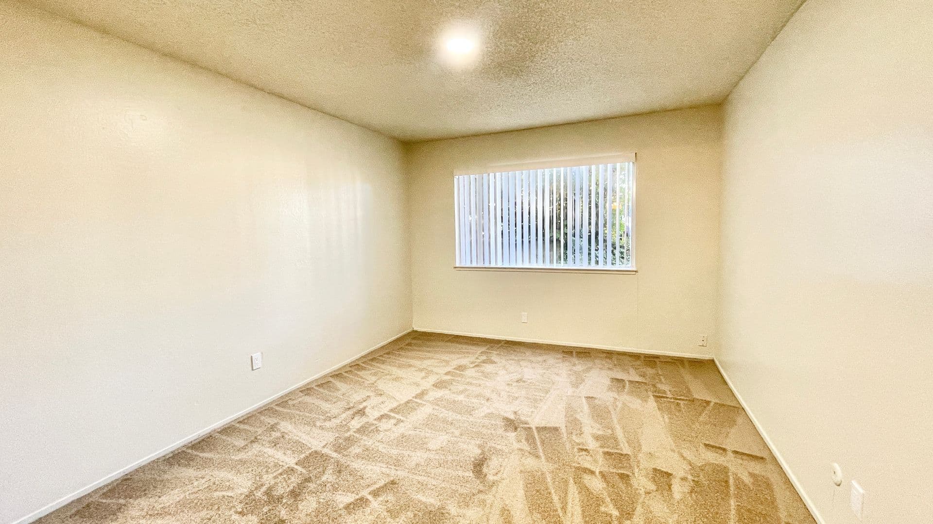Belmont Apartment: 1240 Alameda De Las Pulgas