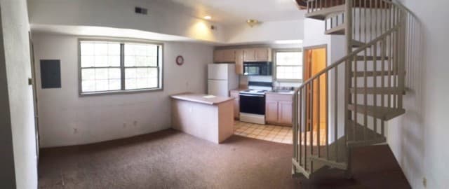 Urbana Apartment: 308 W. Green St