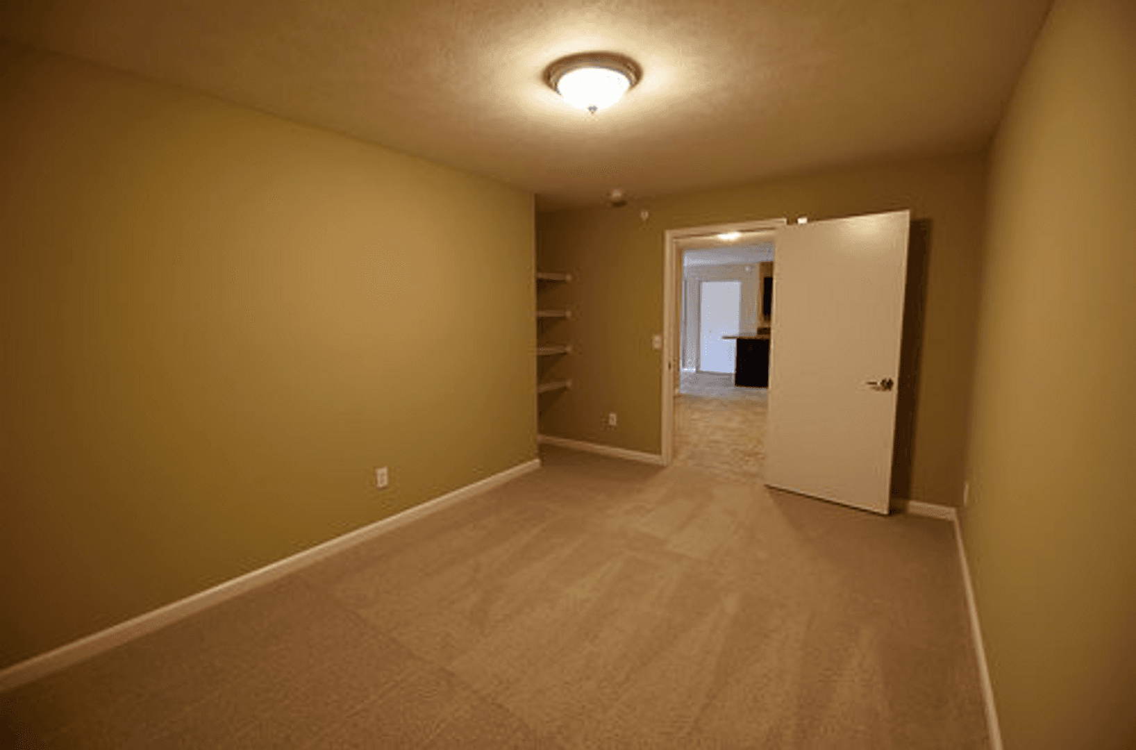 Urbana Apartment: 1905 N Cunningham Ave