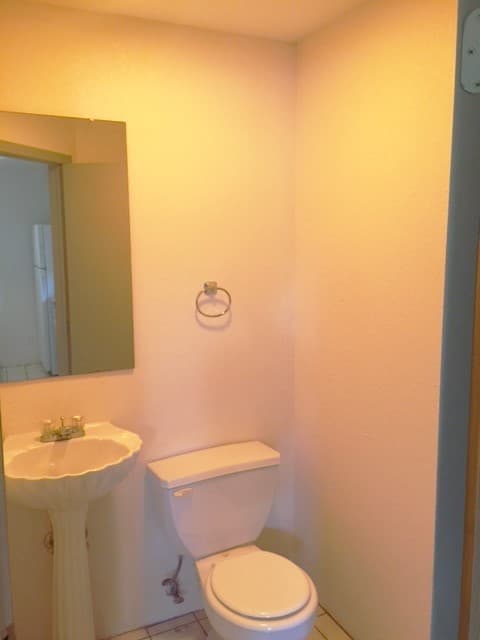 Urbana Apartment: 308 W. Green St