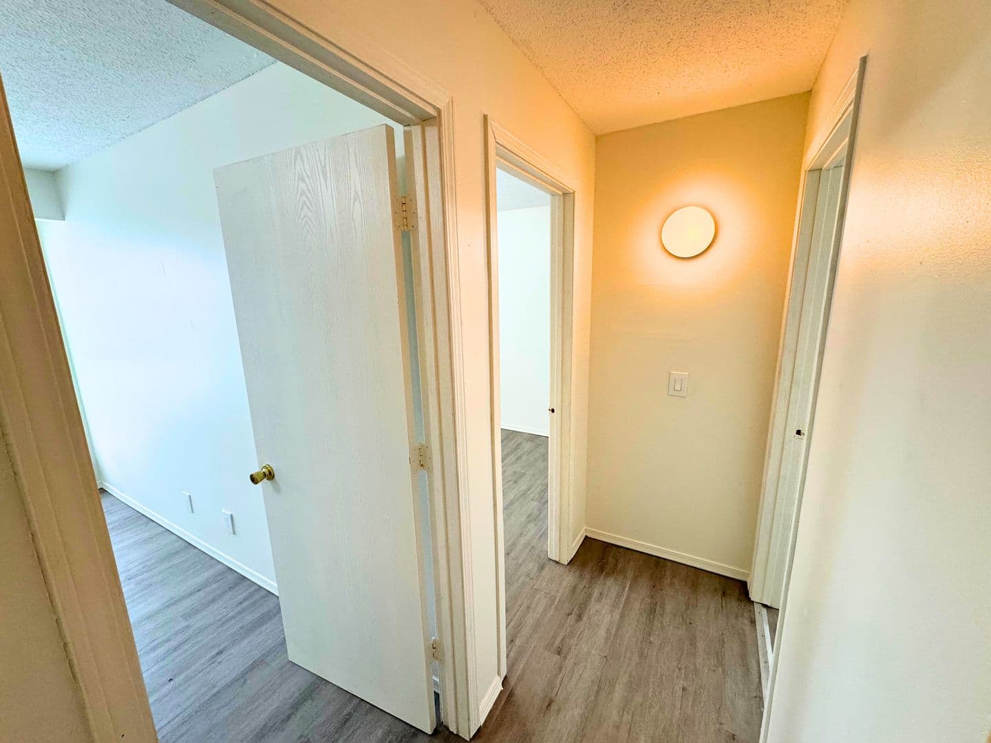 Champaign Apartment: 2403 Highview Ct