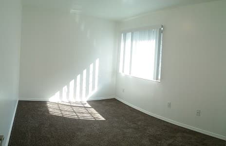 Urbana Apartment: 302 S. Cedar