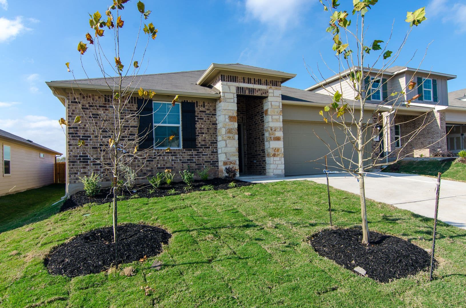 Kyle House: 262 Fall Aster Drive