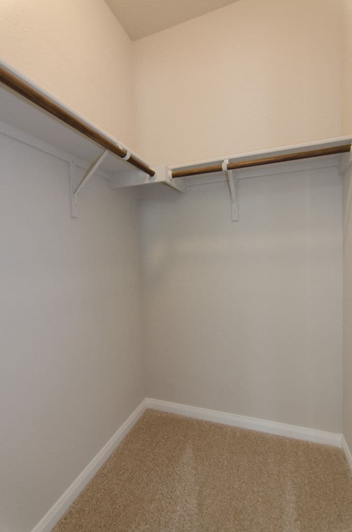 Kyle House: 262 Fall Aster Drive