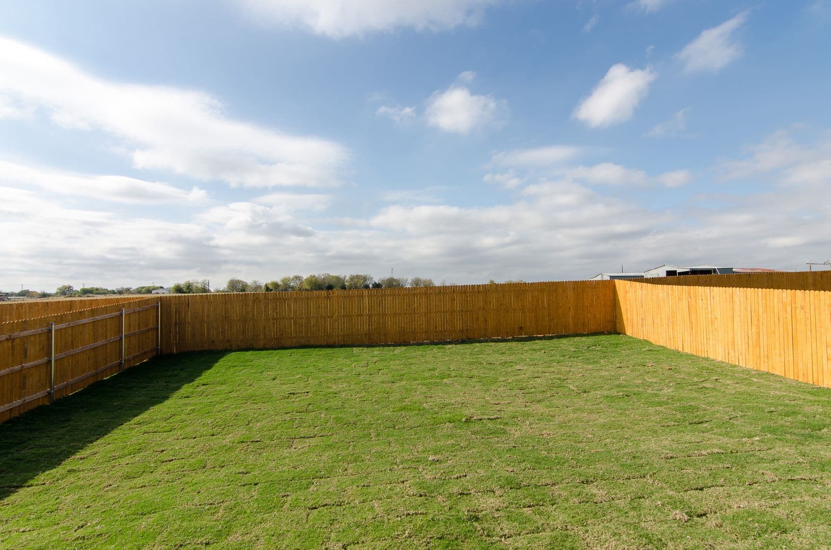 Kyle House: 262 Fall Aster Drive