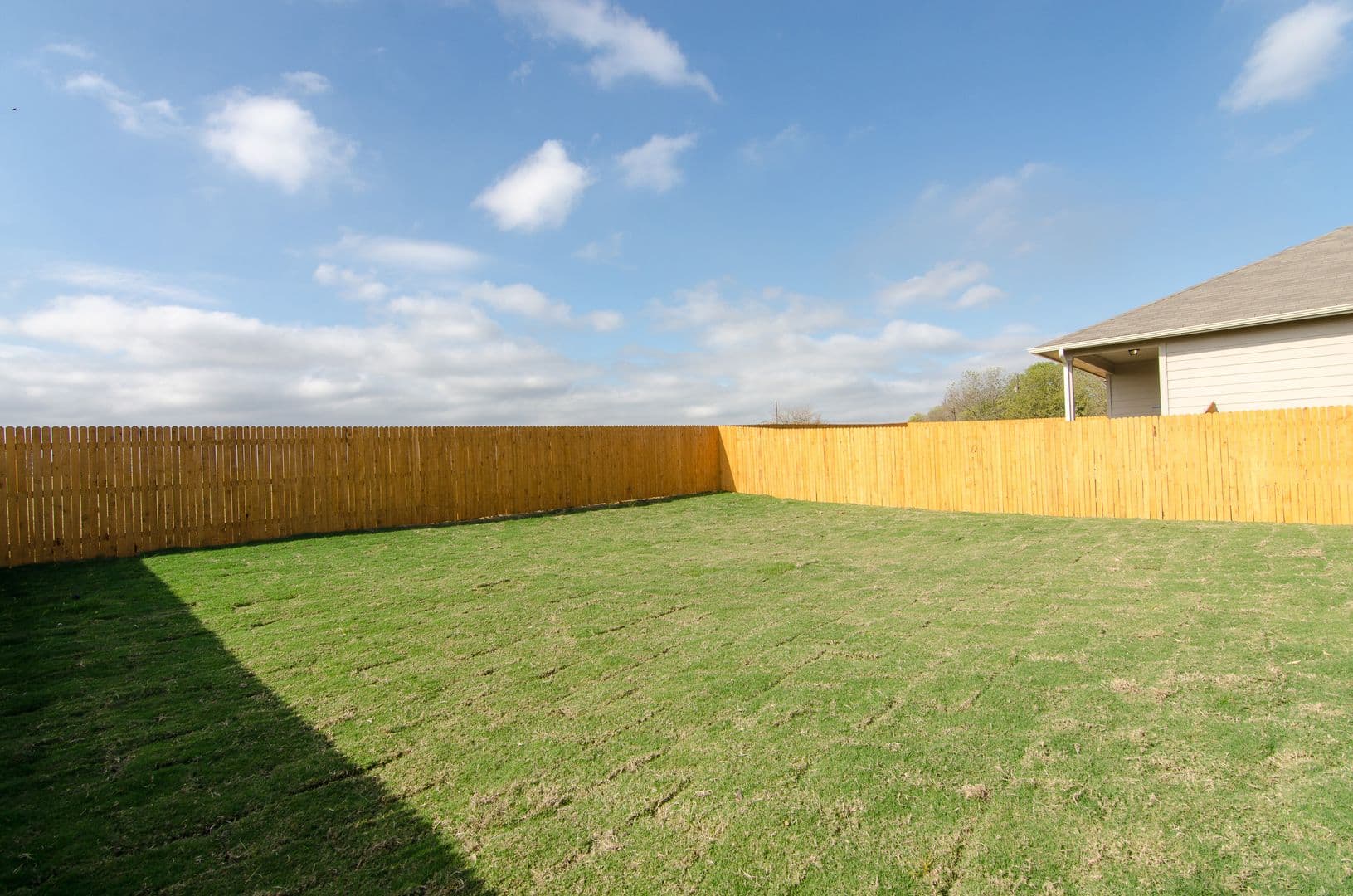 Kyle House: 262 Fall Aster Drive