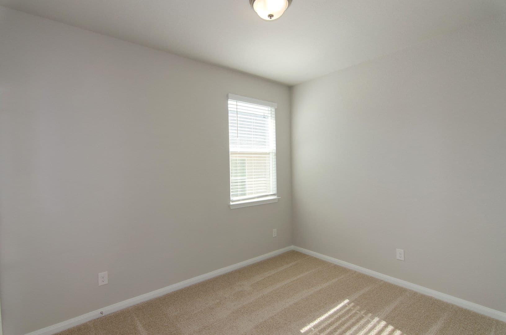 Kyle House: 262 Fall Aster Drive