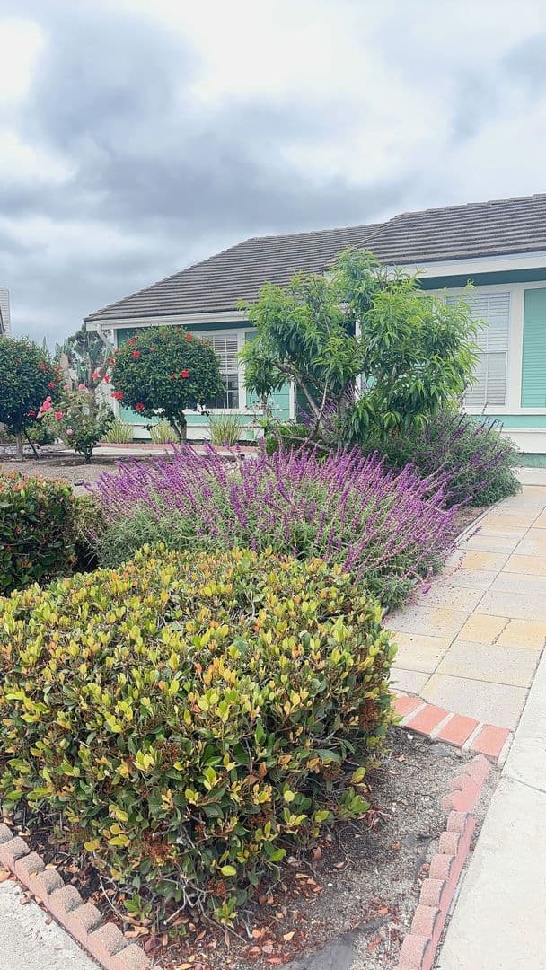 Oceanside House: 369 Via Metates
