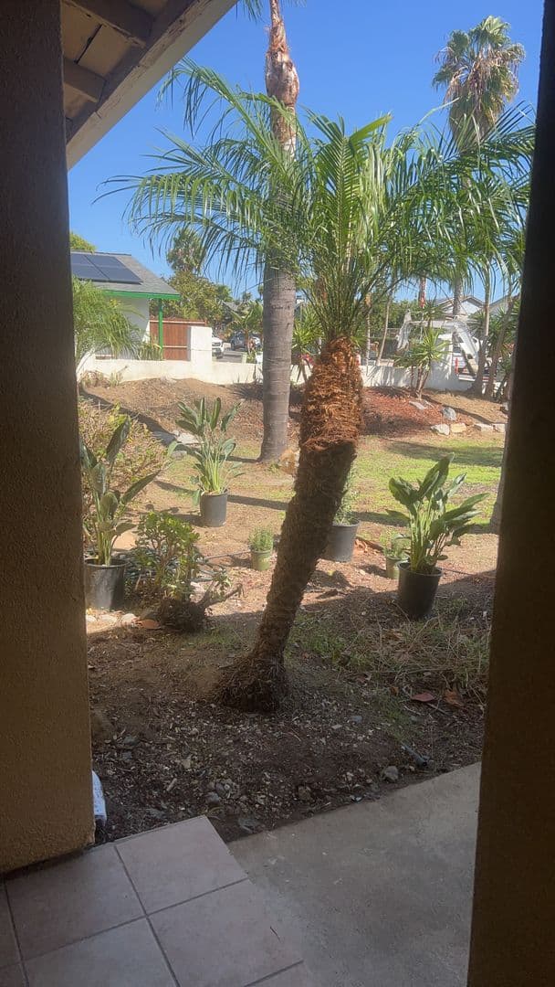 Oceanside House: 605 Flora Dr.