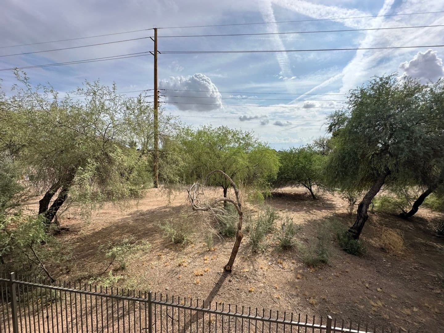 Phoenix Apartment: 5343 E Taylor St