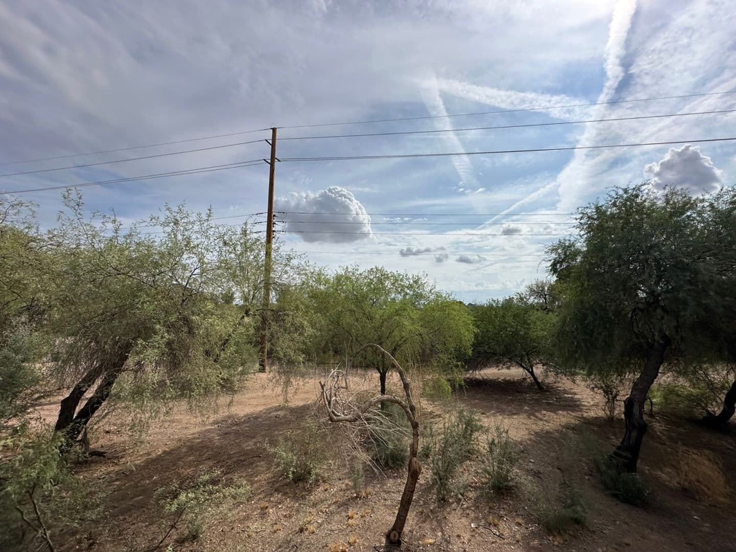 Phoenix Apartment: 5343 E Taylor St