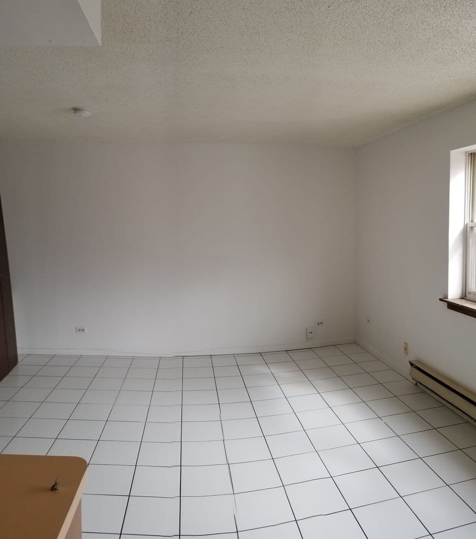 Hillside Apartment: 517 N Wolf Road