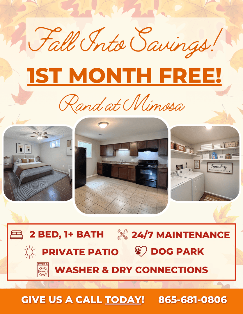 Louisville Apartment: 903 Mimosa Heights Drive