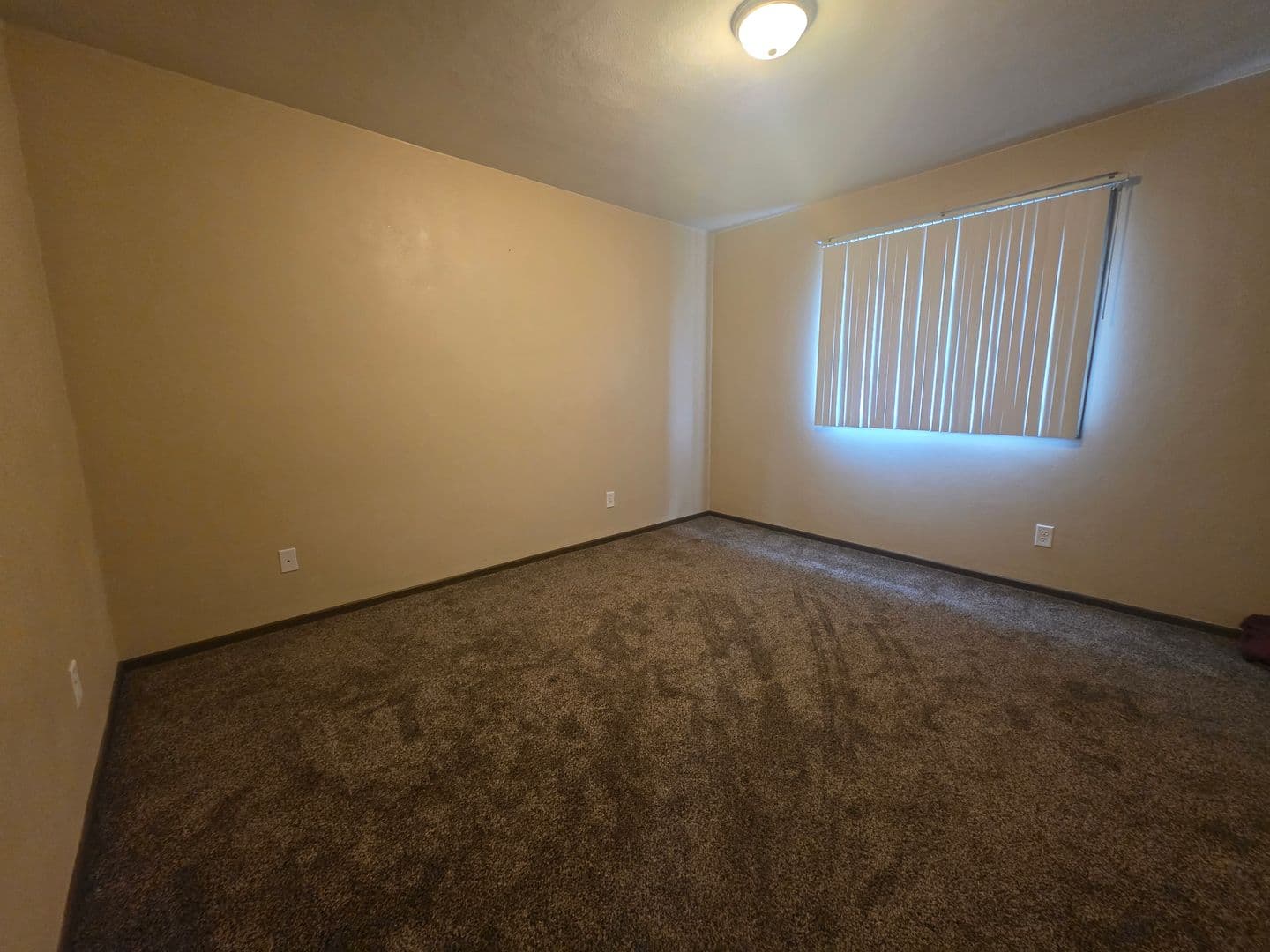 Waterloo Apartment: 3609 Joan Dr.