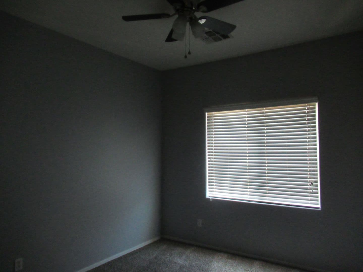 Avondale House: 10784 W Washington St.