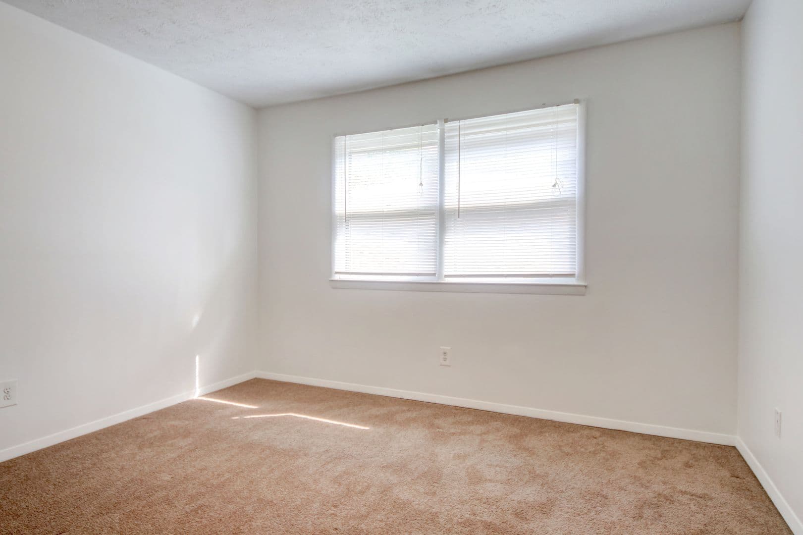 Bloomington Apartment: 1706 Springfield Road