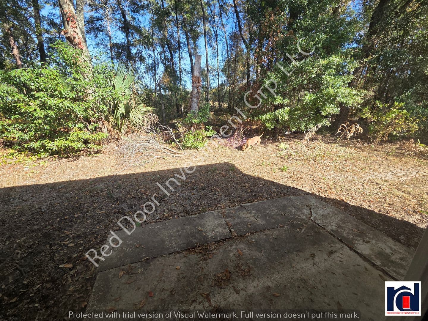 Ocala Apartment: 3761 NE 41st Street