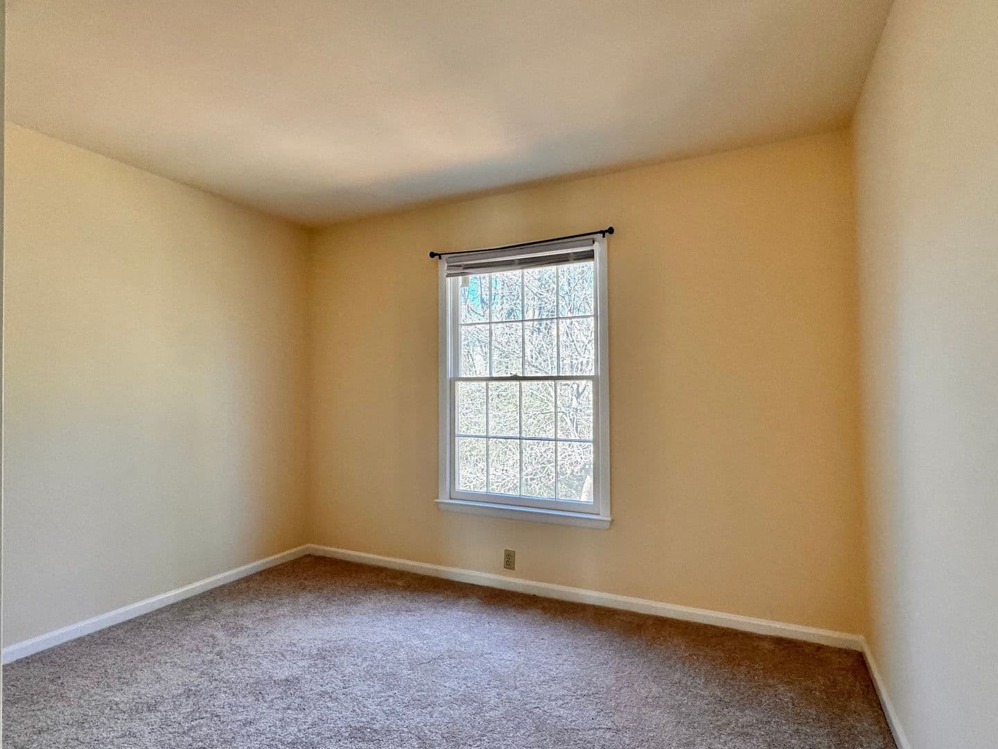 Charlottesville Condo: 2527 Hydraulic Rd.