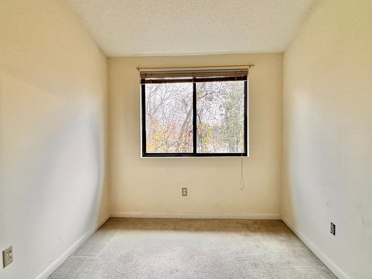 Charlottesville Condo: 125 Turtle Creek Rd. - Apt. 11