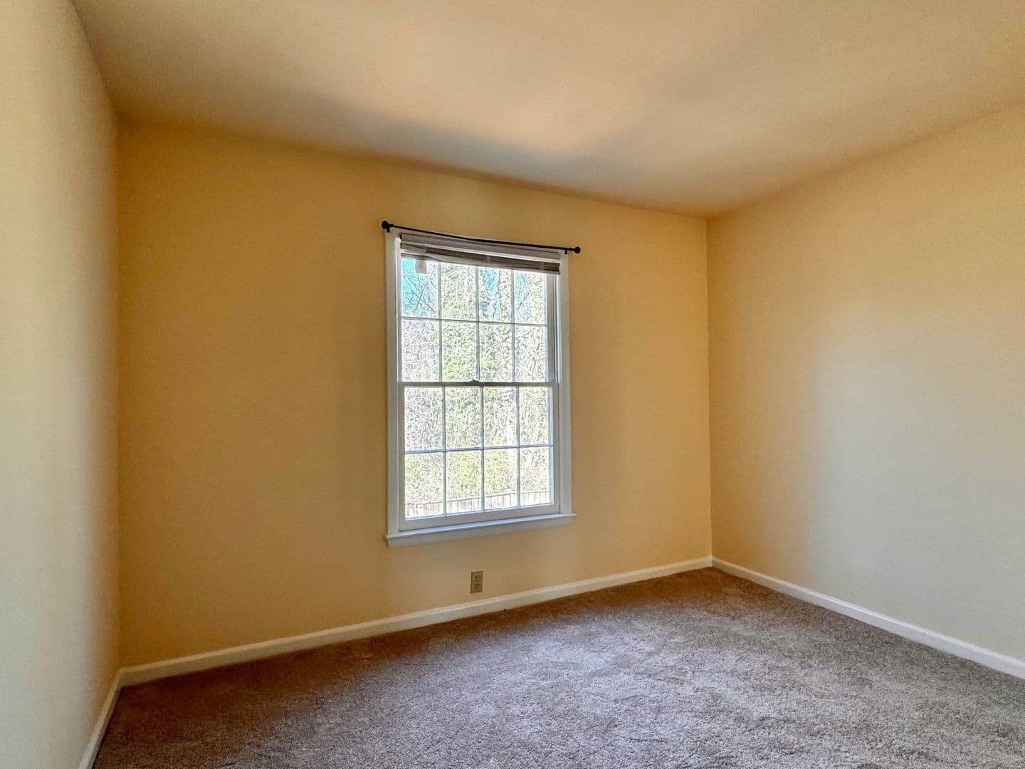 Charlottesville Condo: 2527 Hydraulic Rd.