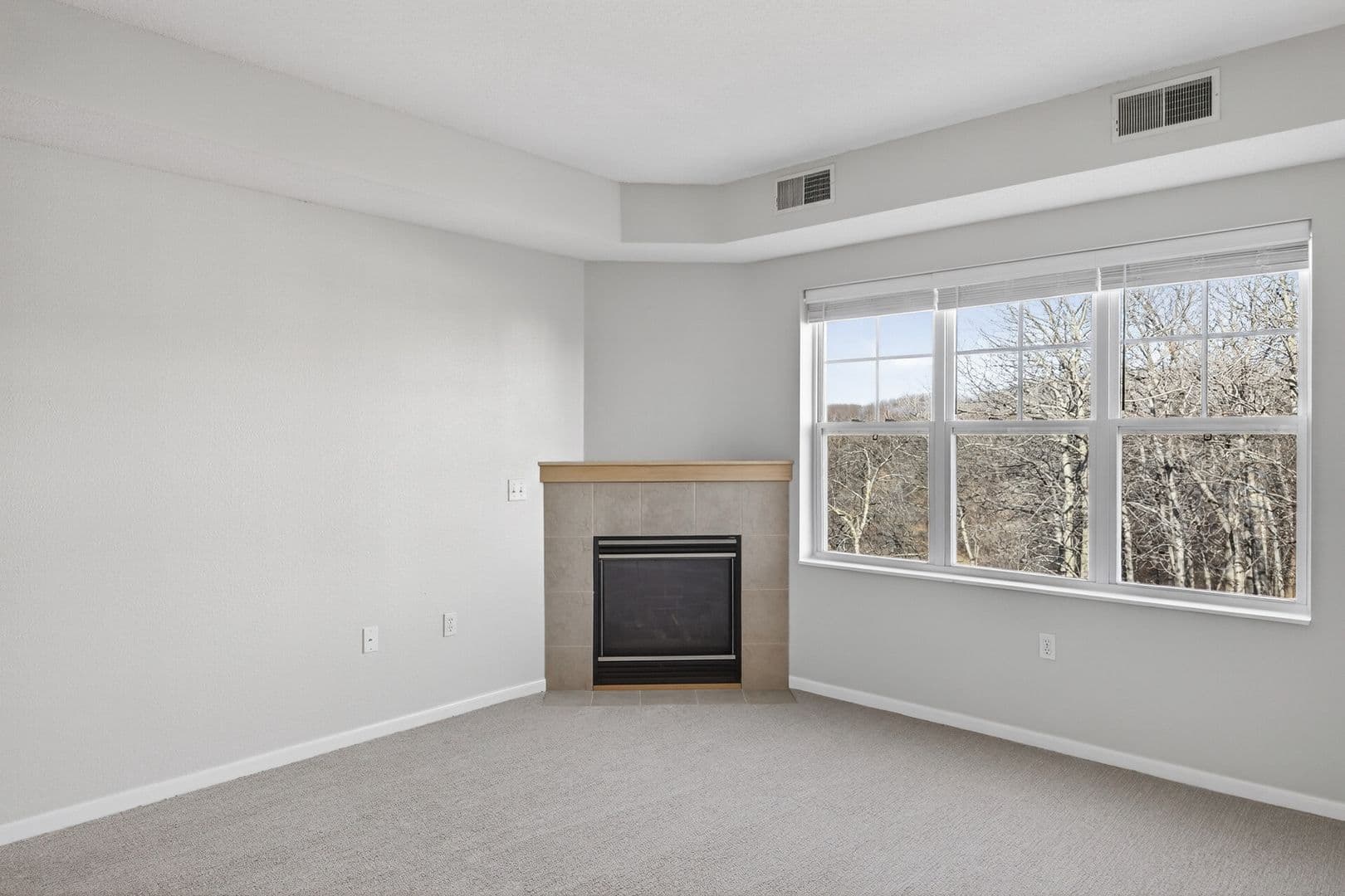 Chanhassen Apartment: 8260 Market Blvd