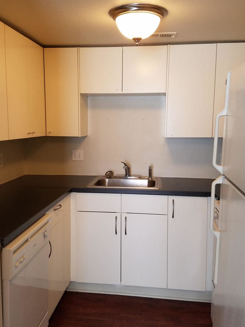 Galveston Apartment: 217 Church St