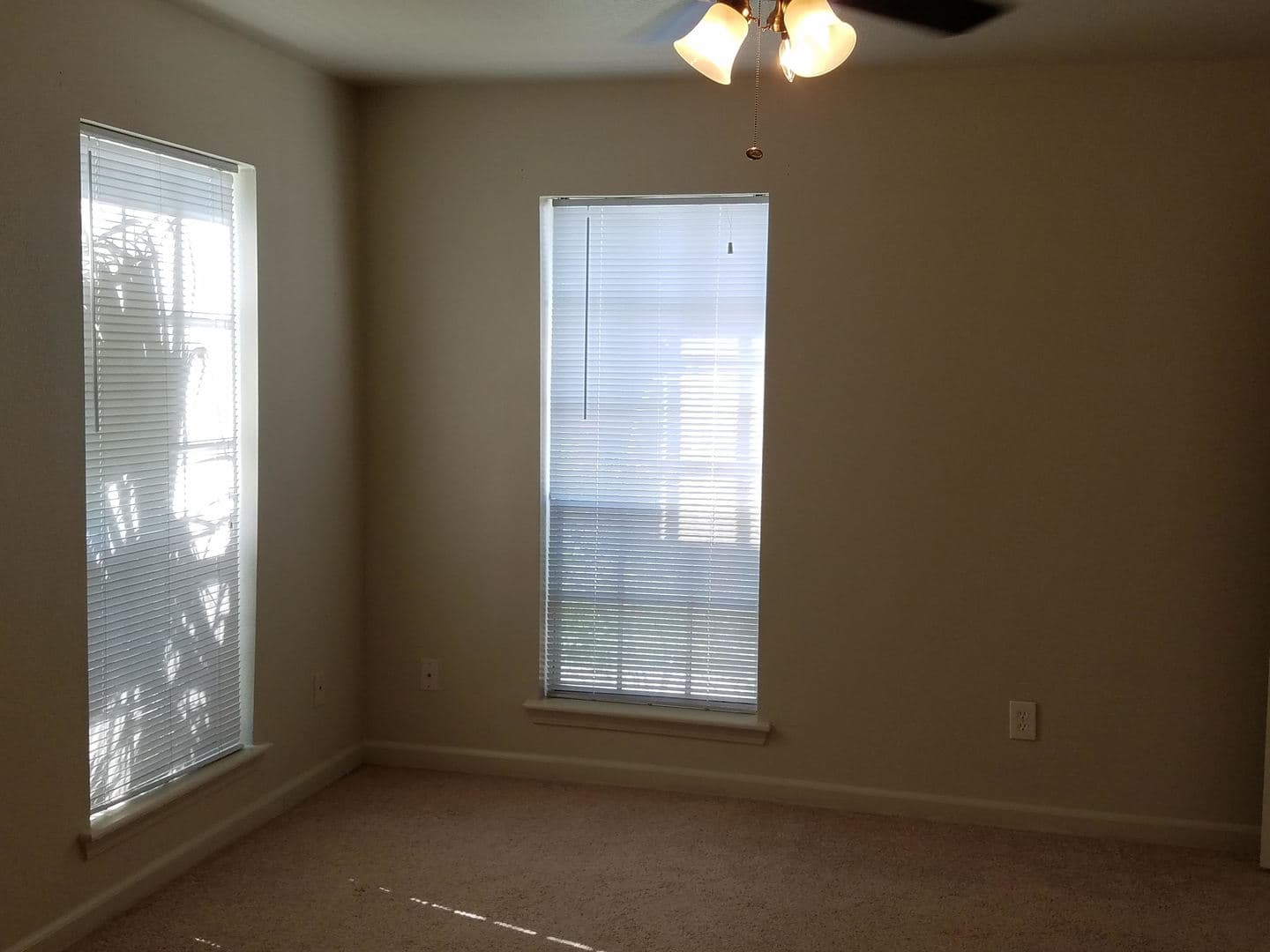 Galveston Apartment: 217 Church St