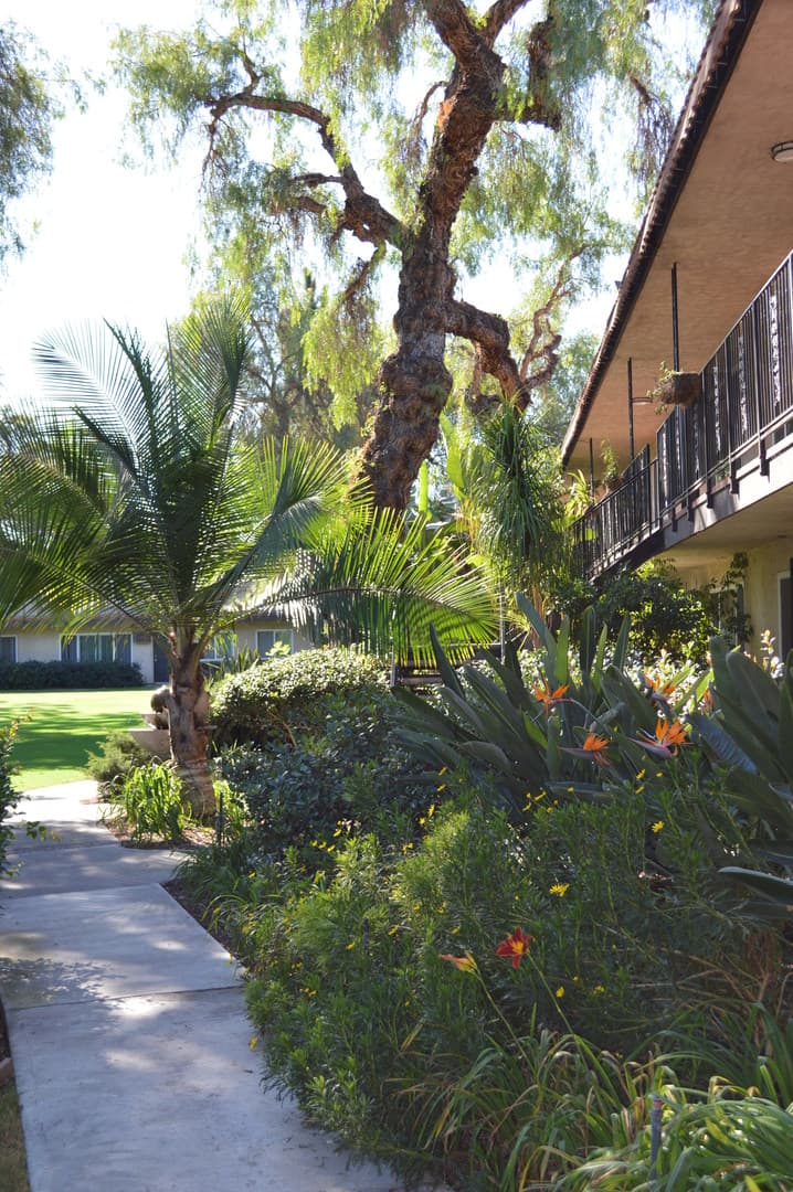 Garden Grove Apartment: 13212 Magnolia Street