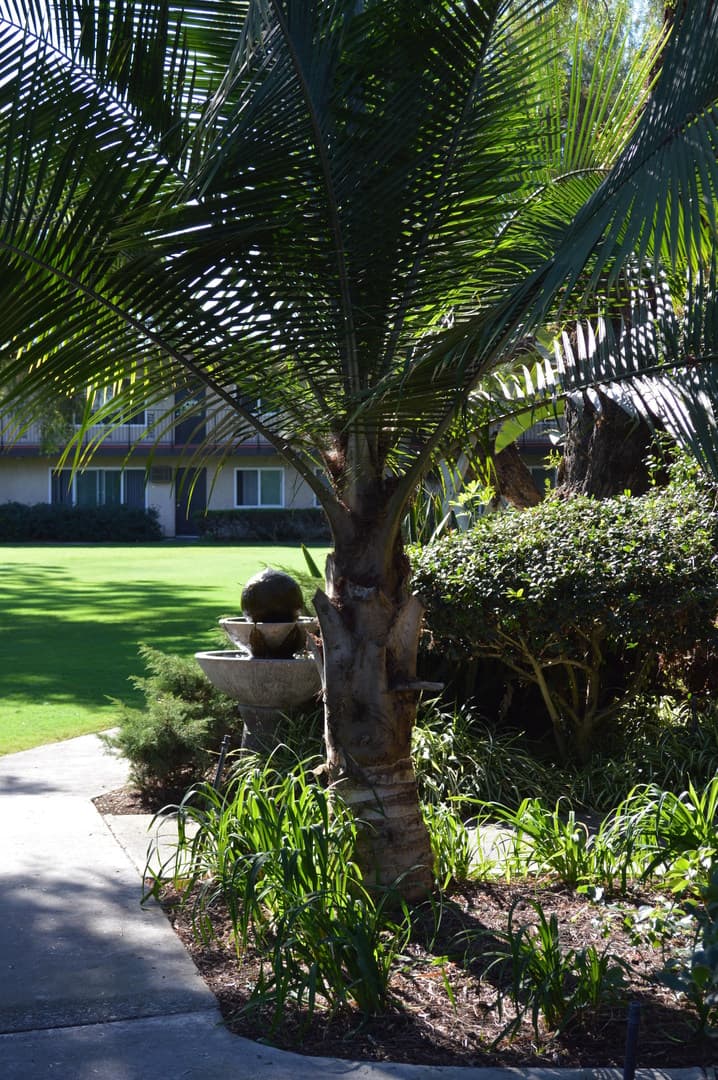Garden Grove Apartment: 13212 Magnolia Street
