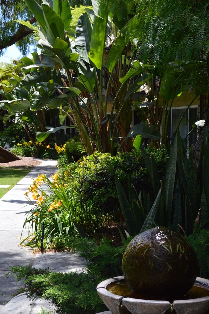 Garden Grove Apartment: 13212 Magnolia Street