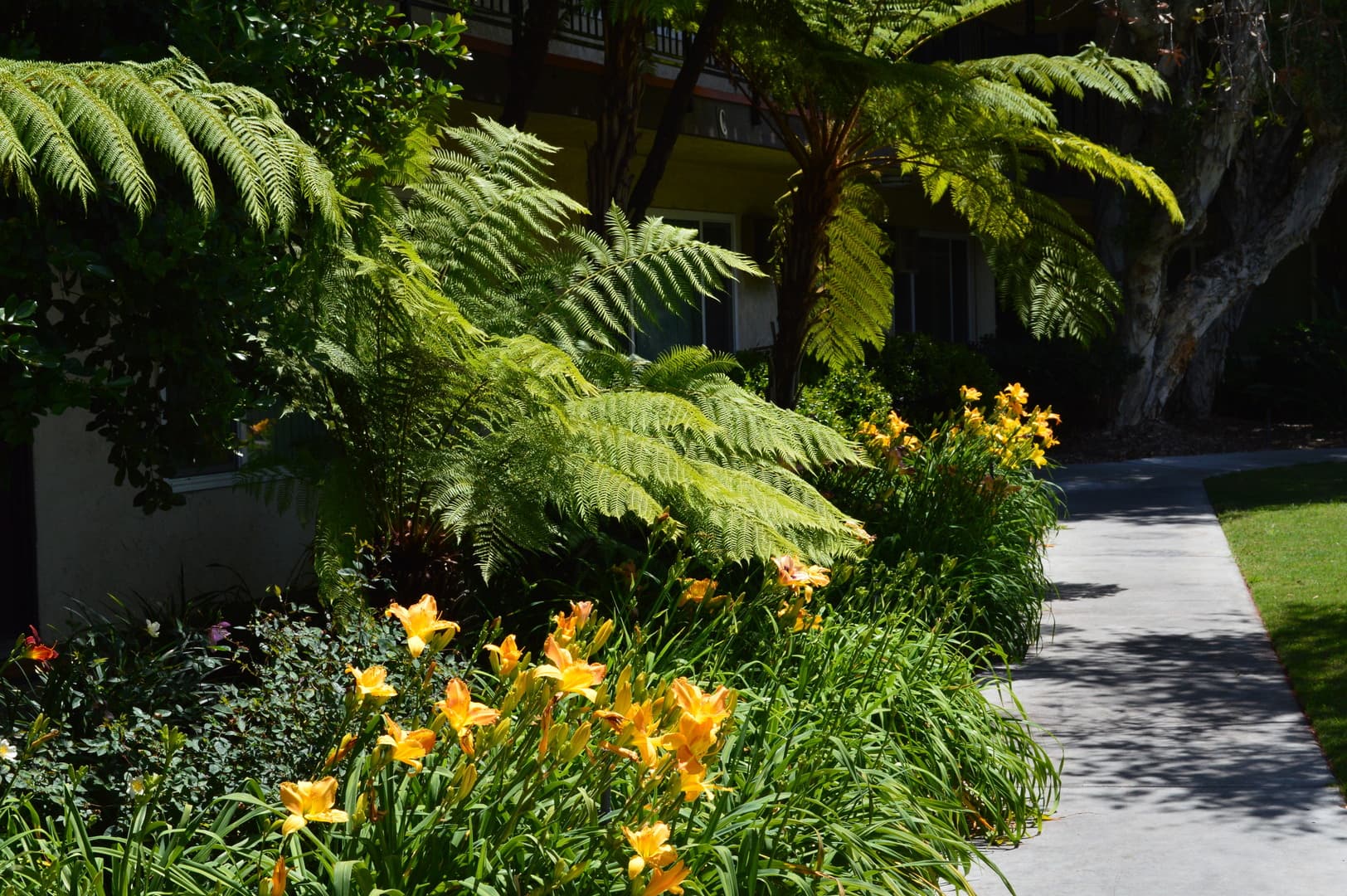 Garden Grove Apartment: 13212 Magnolia Street