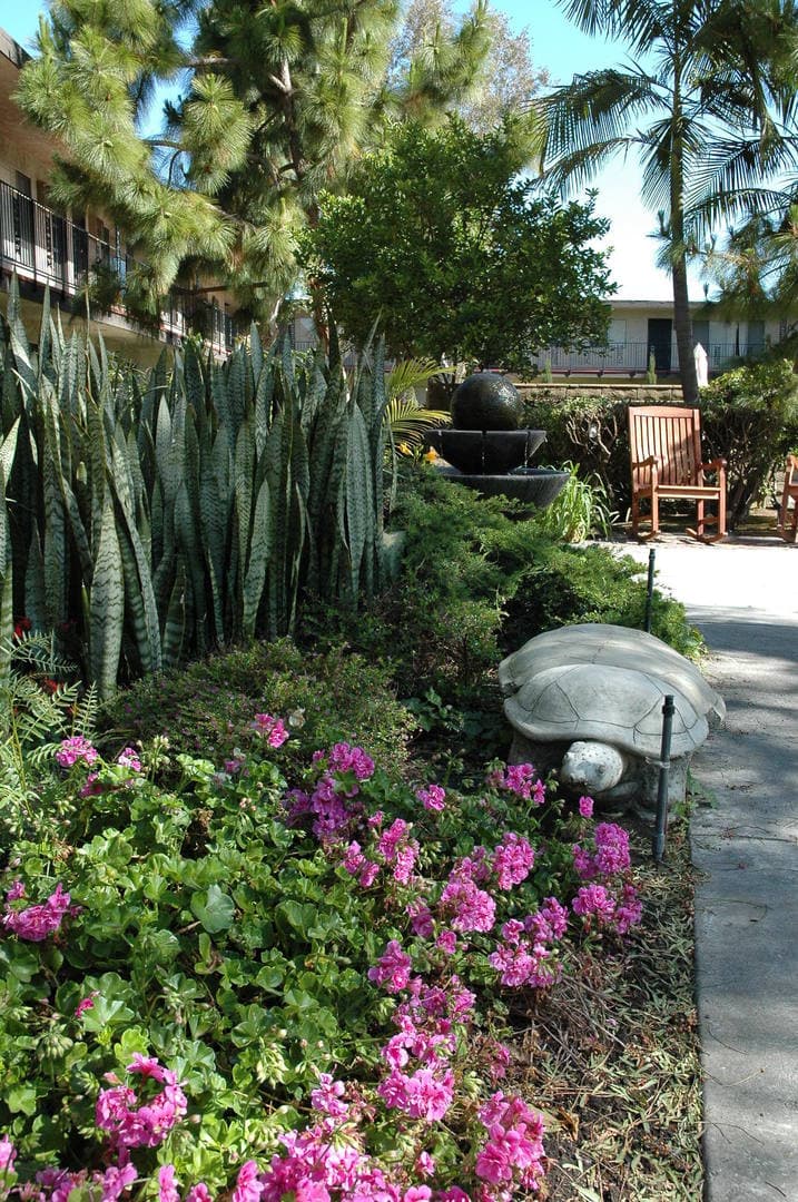 Garden Grove Apartment: 13212 Magnolia Street
