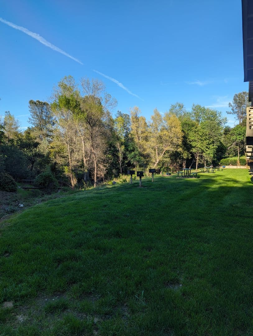 Redding Apartment: 2850 Pioneer Drive Apt 45