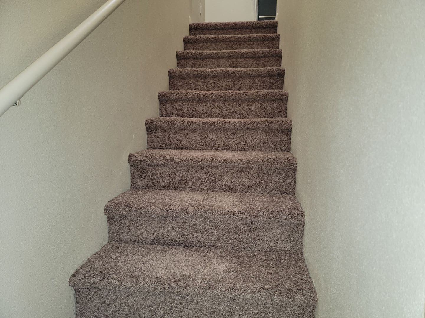 Anderson Apartment: 2600 Shady Ln