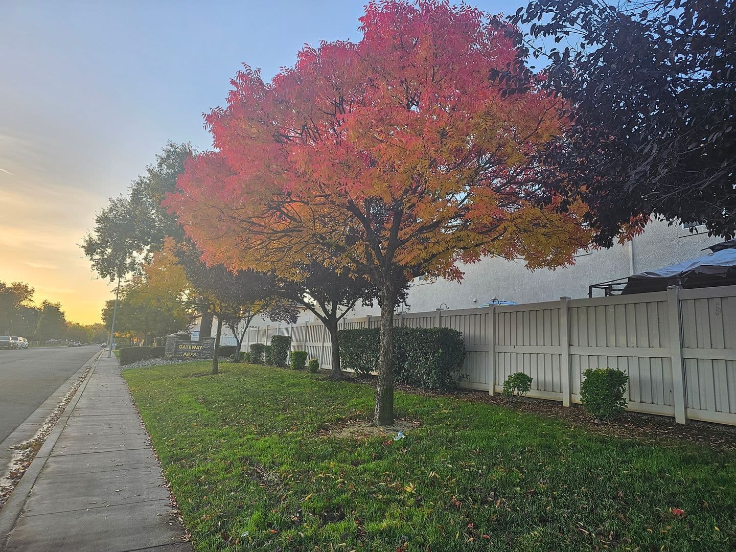 Anderson Apartment: 2600 Shady Ln