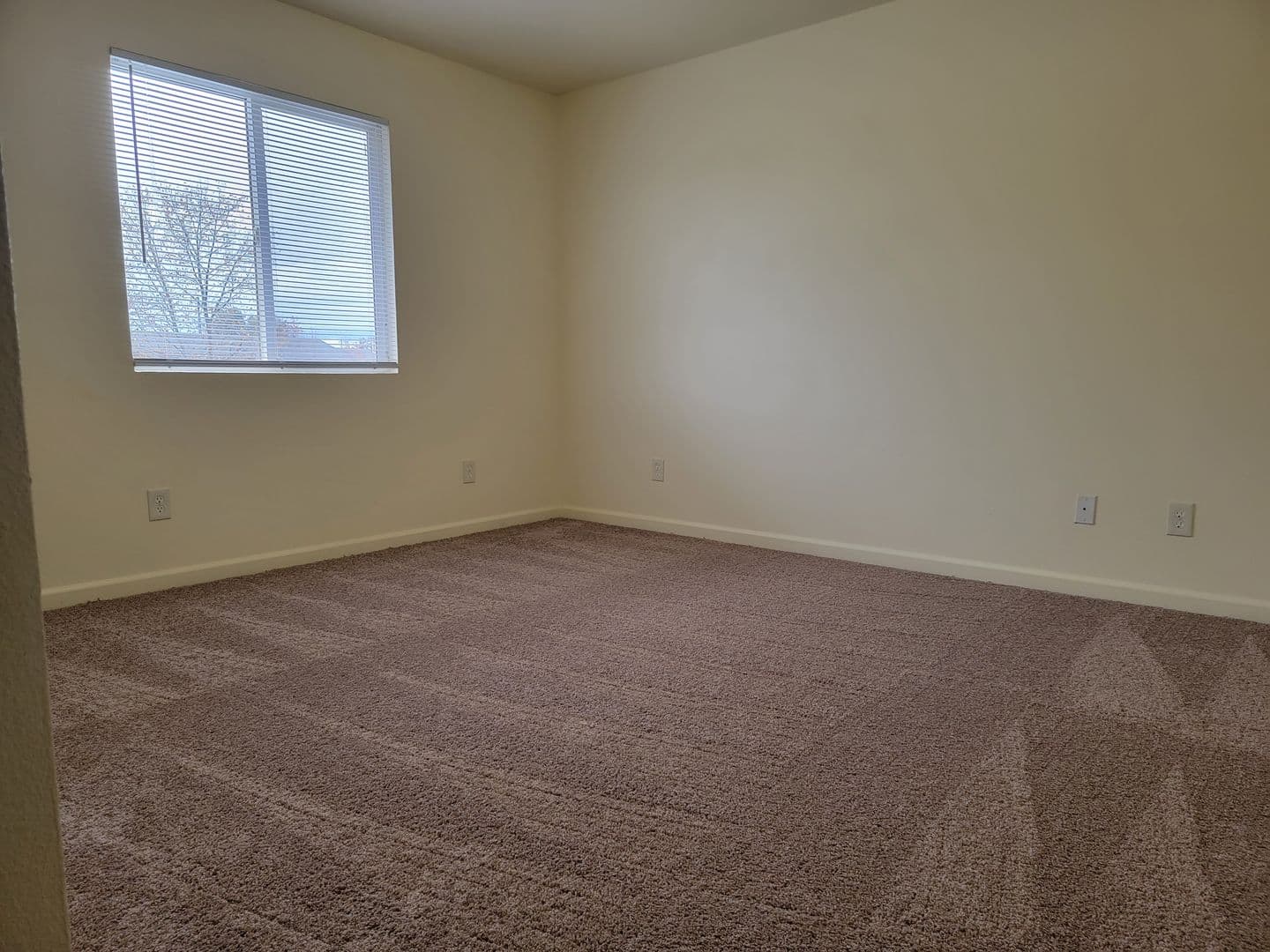 Anderson Apartment: 2600 Shady Ln