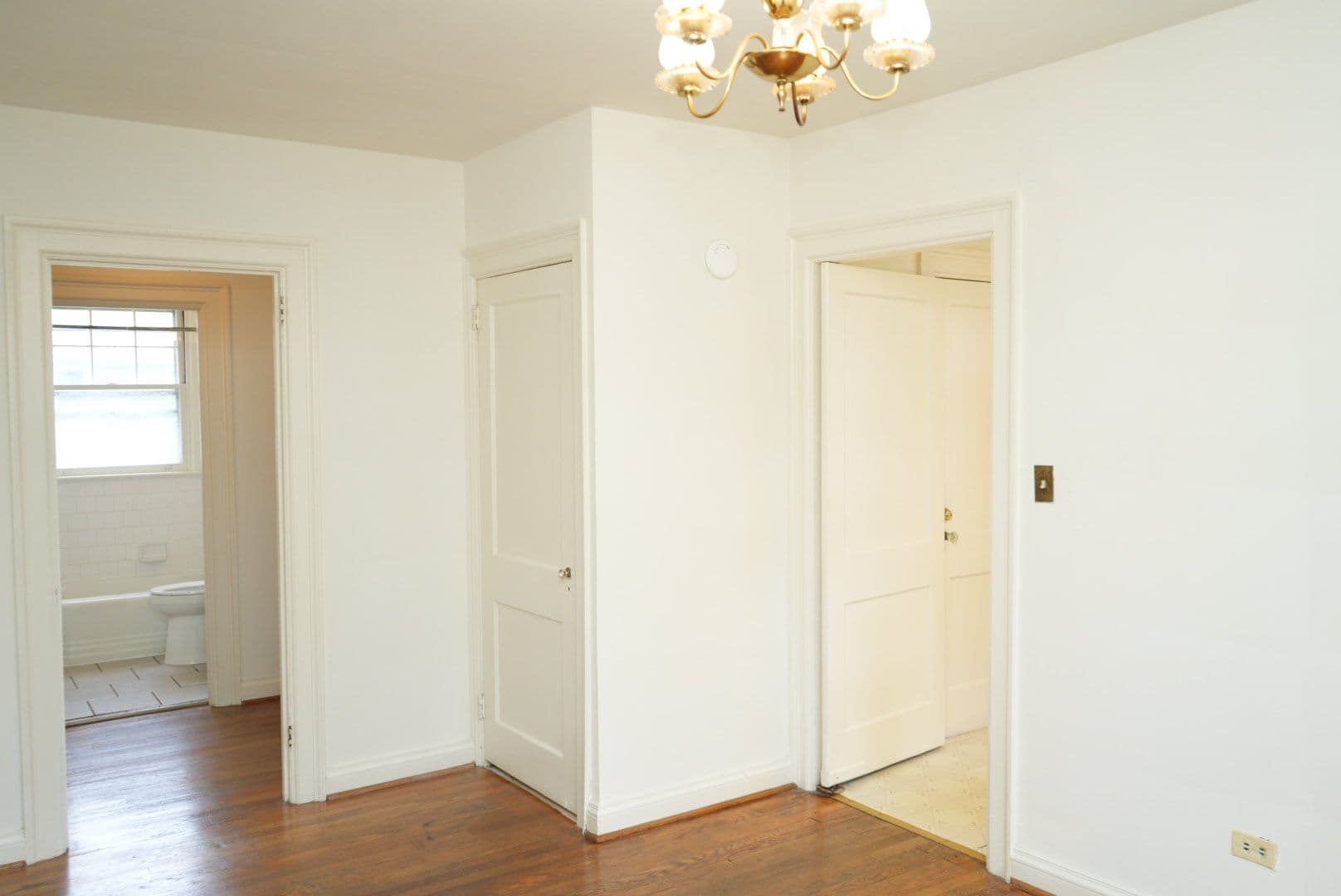 Charlottesville Apartment: 700 Grove Ave