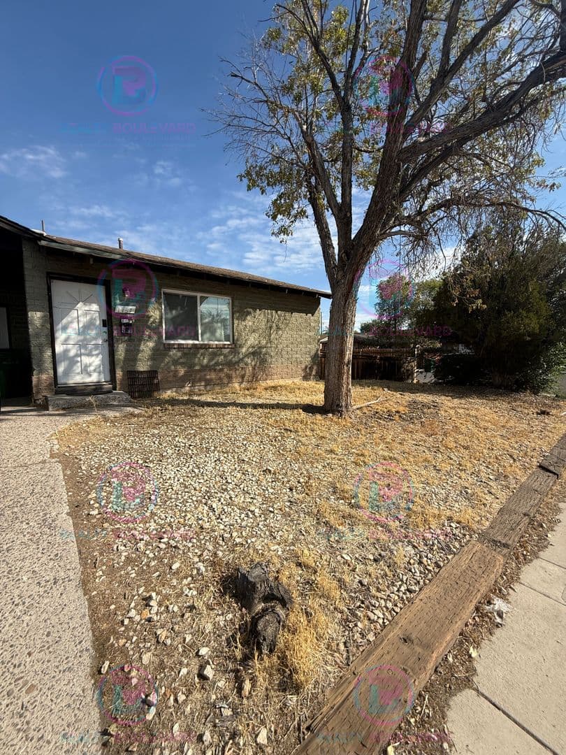 Reno House: 1137 Arnold Dr.