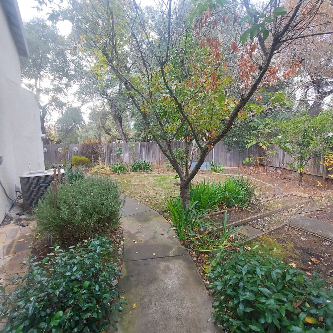 Carmichael House: 2604 Javan Ln.
