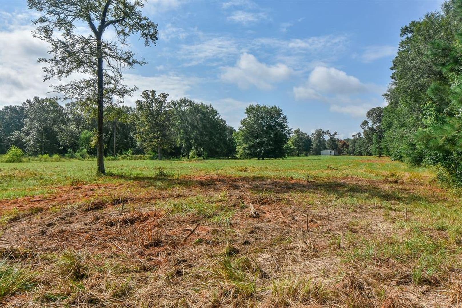 Conroe Apartment: 16428 Jireh Rd