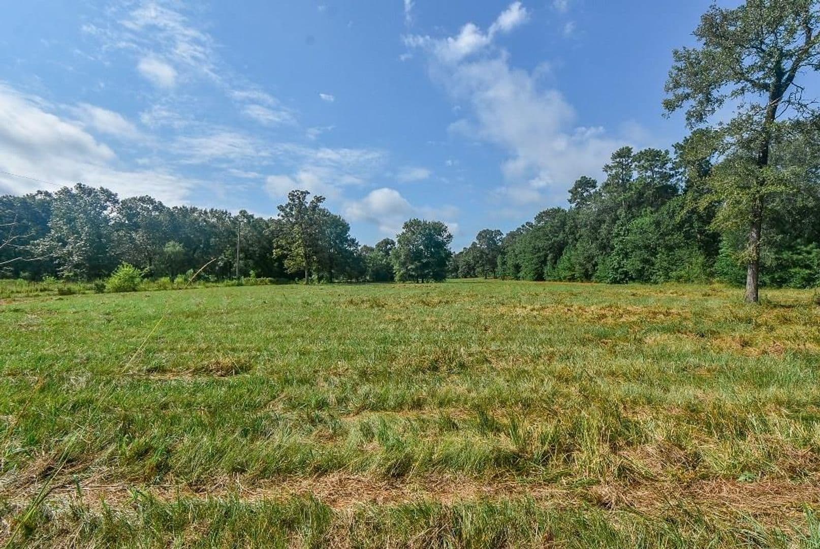 Conroe Apartment: 16428 Jireh Rd