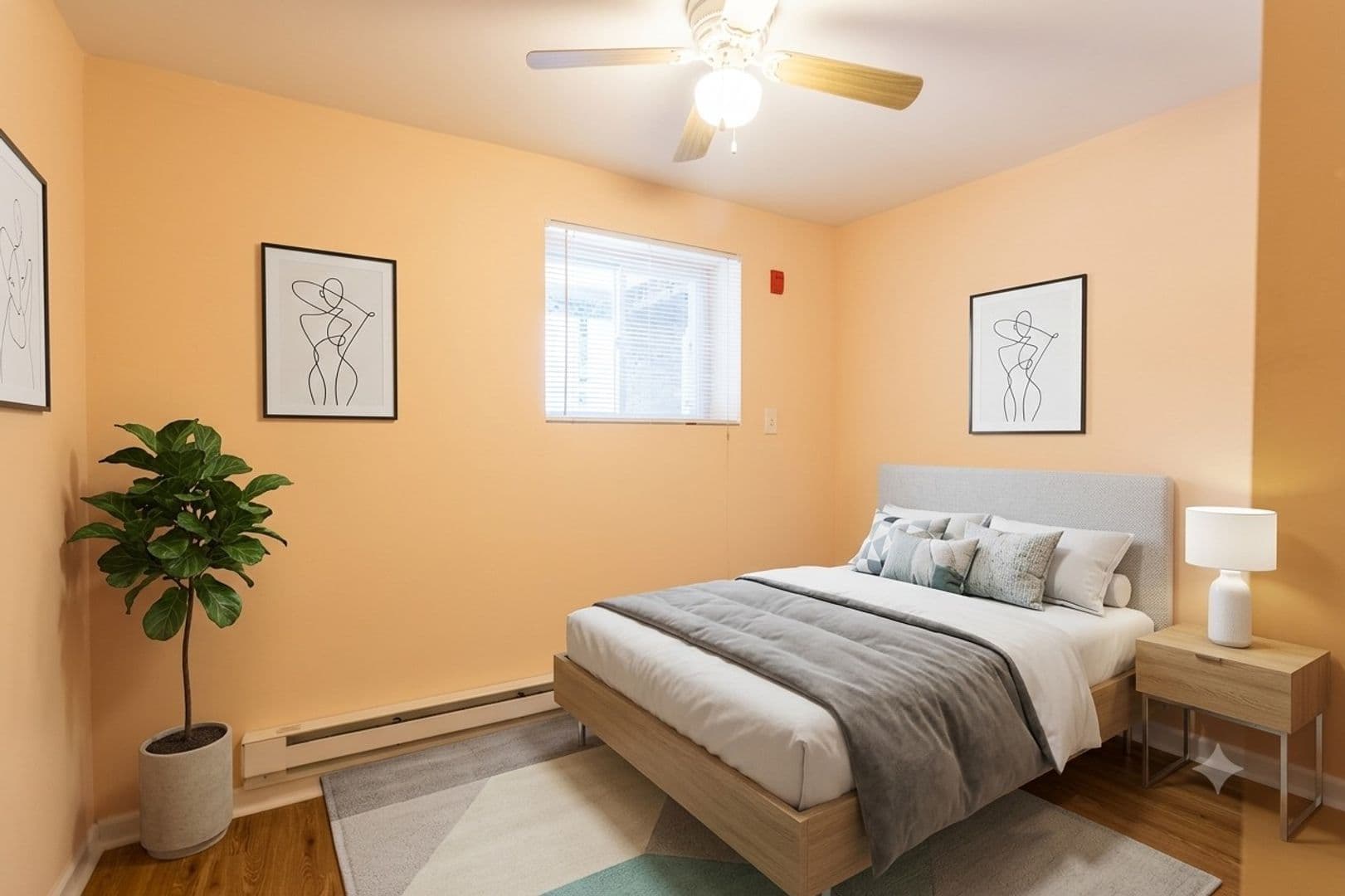Philadelphia Apartment: 5701 N 17th St