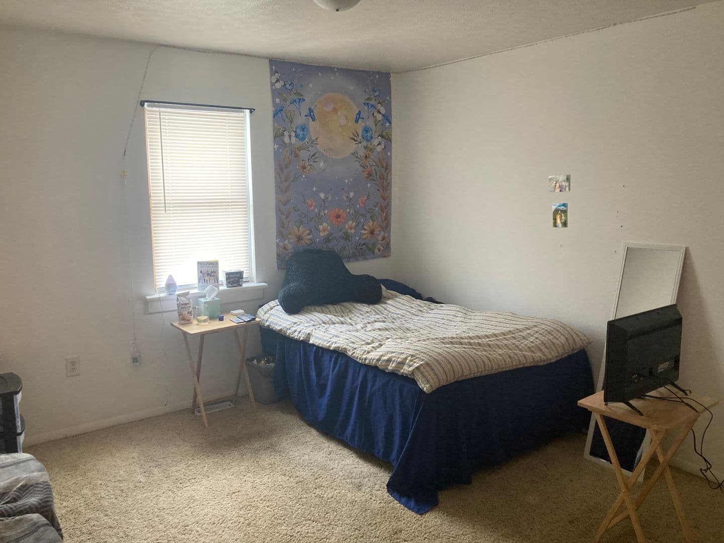 Morgantown Apartment: 146 Lorentz Street