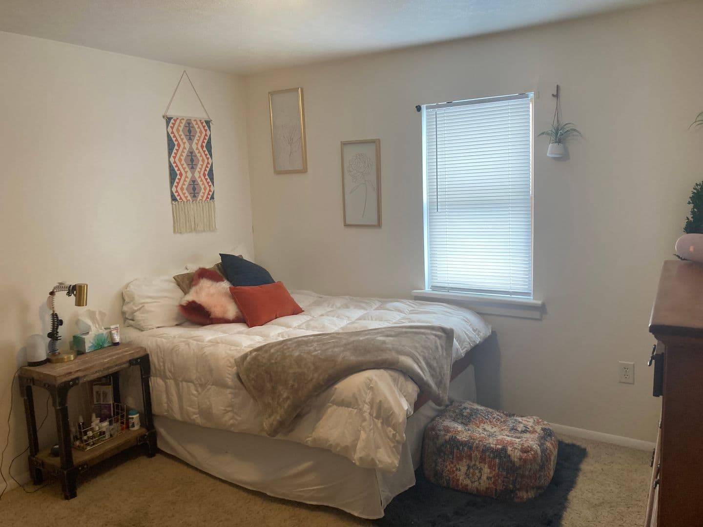 Morgantown Apartment: 146 Lorentz Street