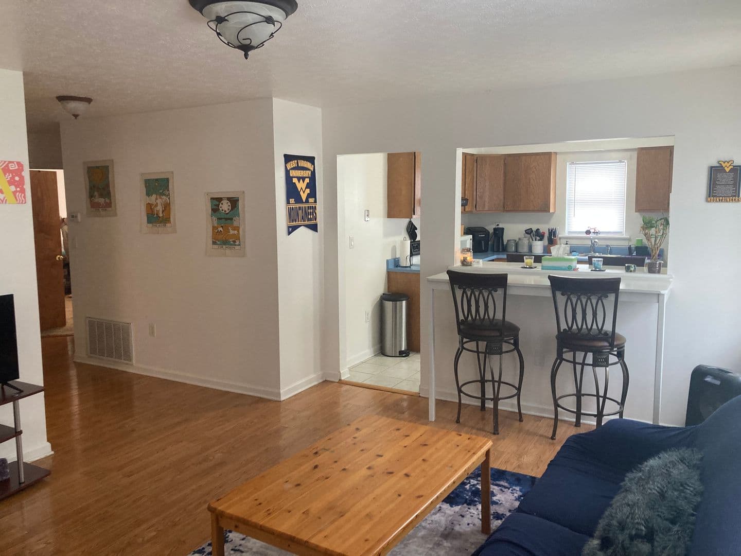 Morgantown Apartment: 146 Lorentz Street