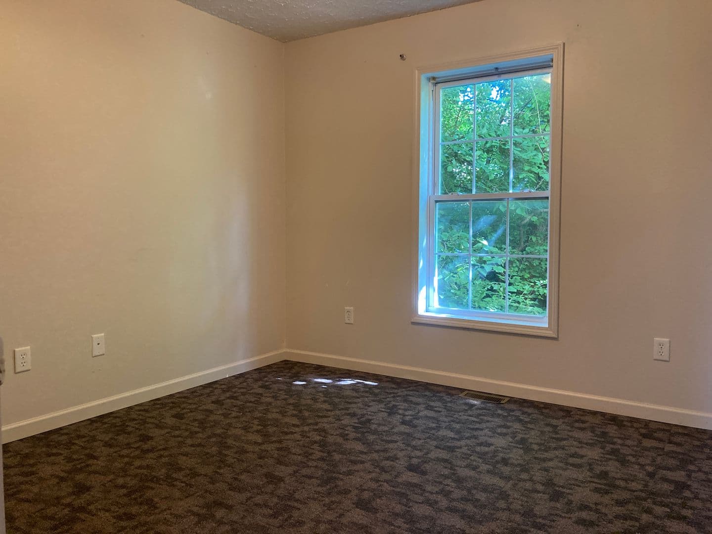 Morgantown Apartment: 667 Spruce Street
