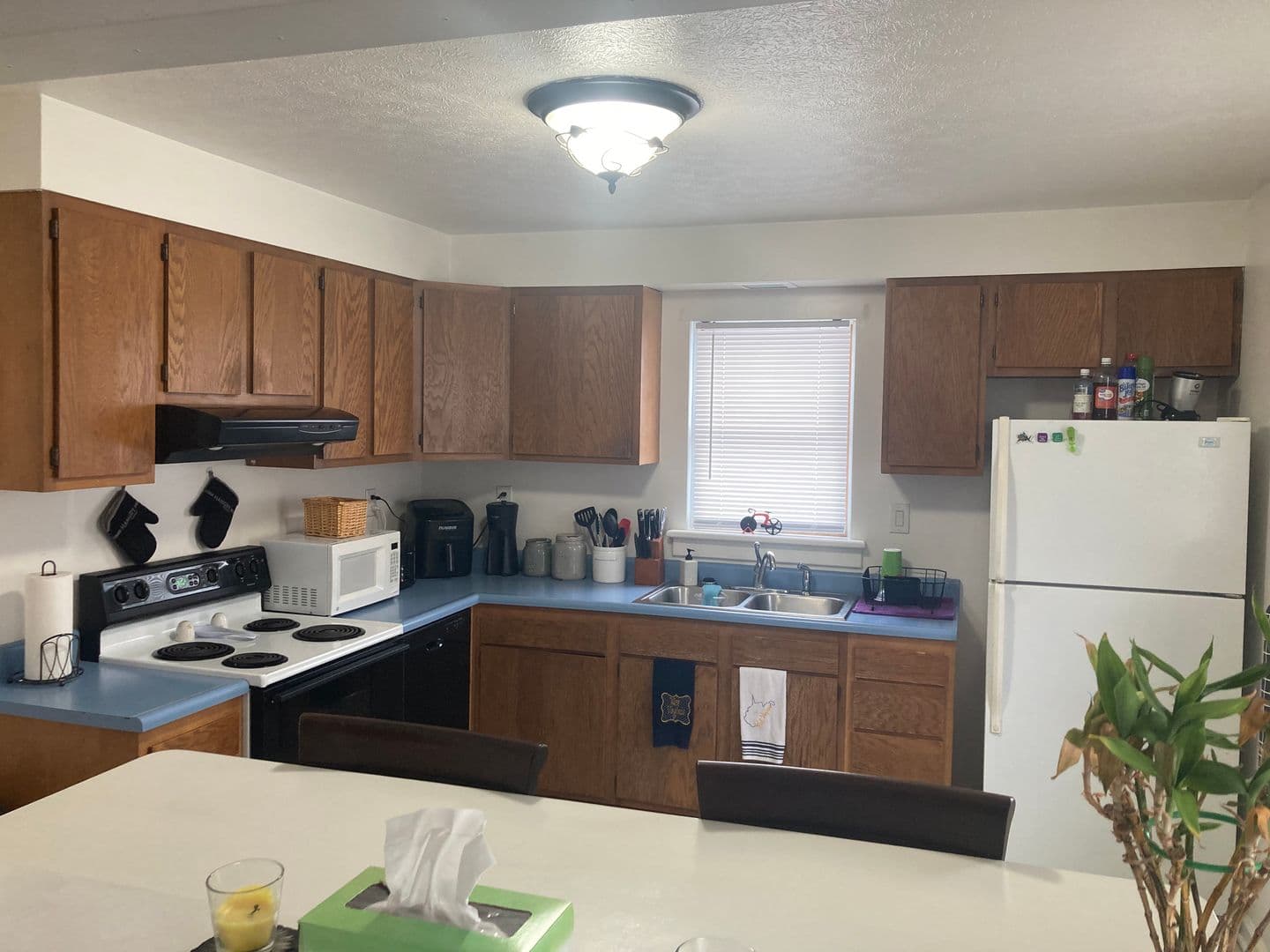 Morgantown Apartment: 146 Lorentz Street