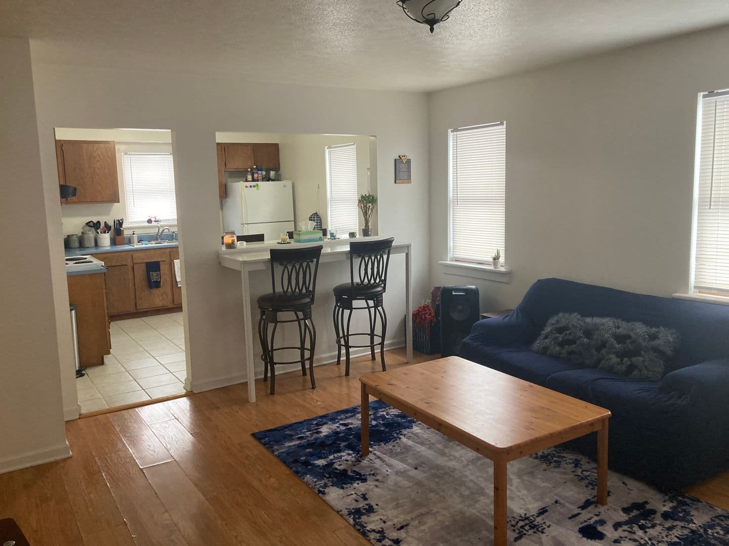 Morgantown Apartment: 146 Lorentz Street