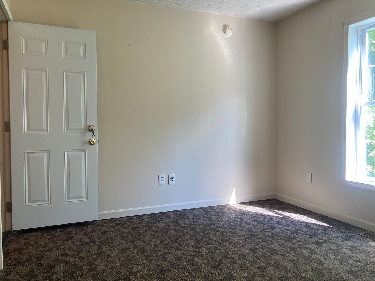 Morgantown Apartment: 667 Spruce Street