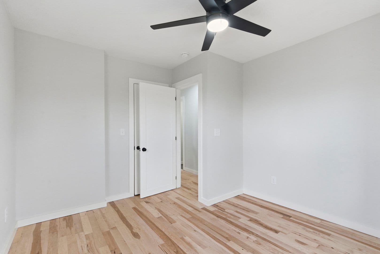 Springfield Apartment: 2831 E University